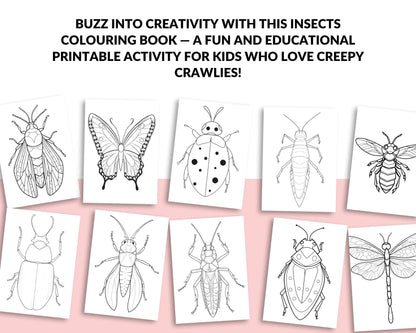 a bunch of bugs that are drawn on a sheet of paper