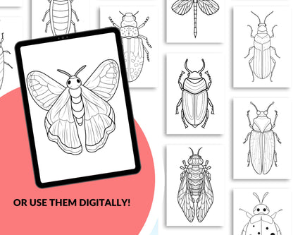 a picture of bugs and bugs with the words, or use them digitally