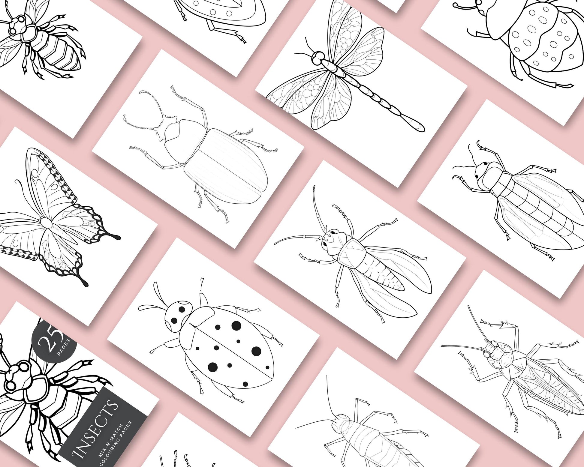a bunch of pictures with bugs and bugs on them